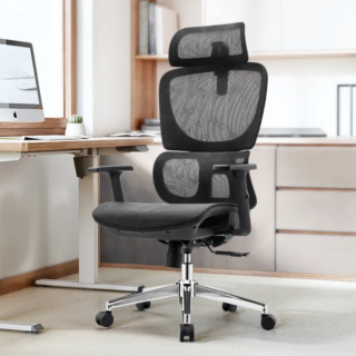 Ergonomic High Back Office Chair